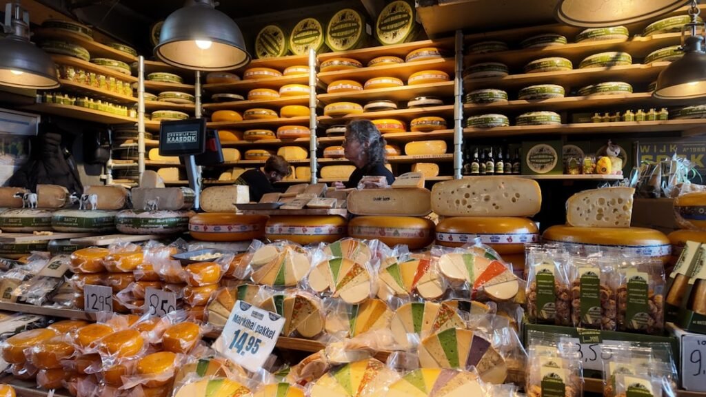Cheeses Suitable for Lactose Intolerant Individuals