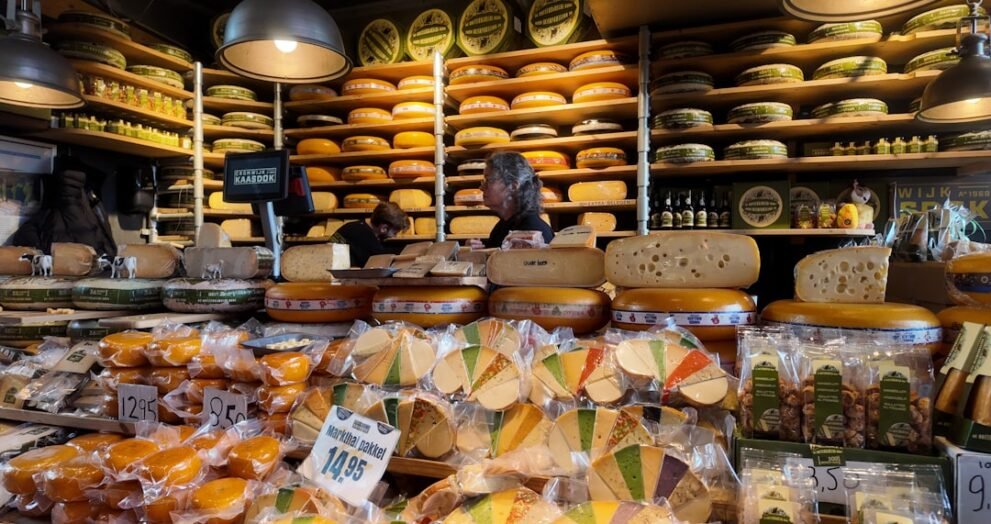 Cheeses Suitable for Lactose Intolerant Individuals