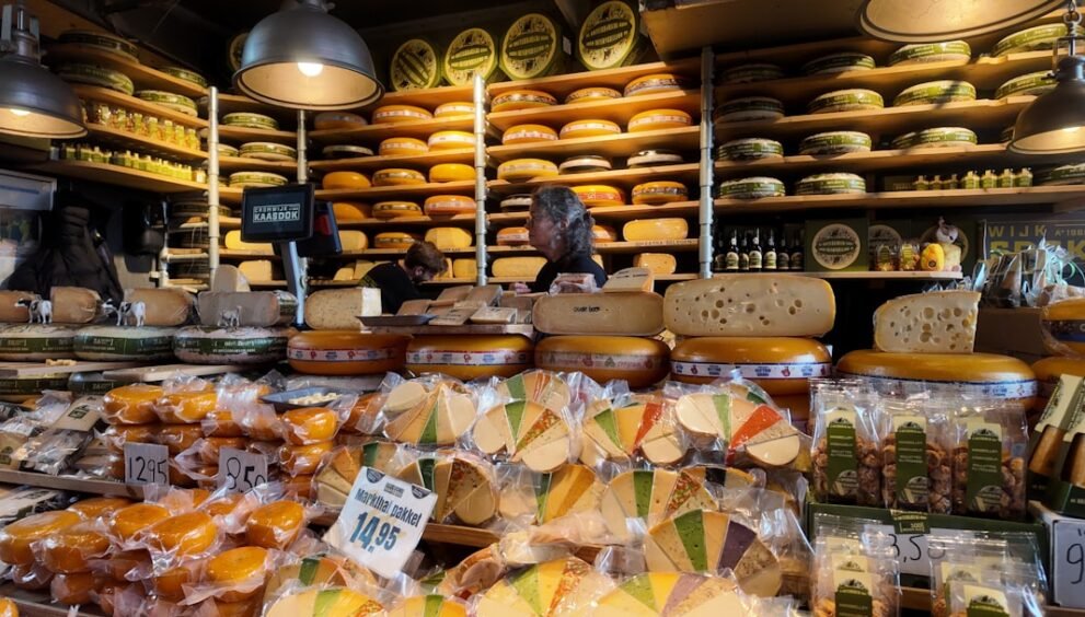 Cheeses Suitable for Lactose Intolerant Individuals