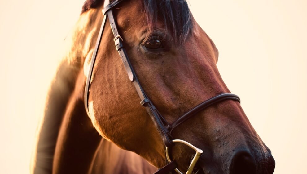 St. Louis Media CEO's Firm Acquires $17M Miami Equestrian Estate