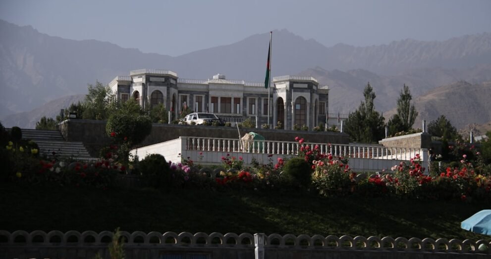 Afghanistan's Cricket Record Against India: A Complete Overview