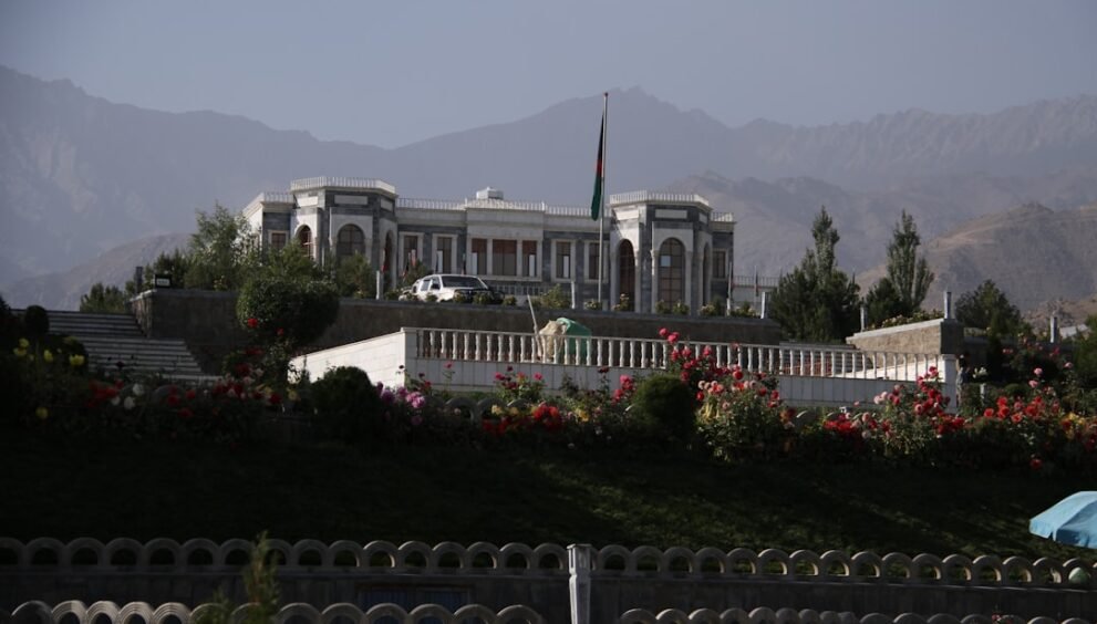 Afghanistan's Cricket Record Against India: A Complete Overview