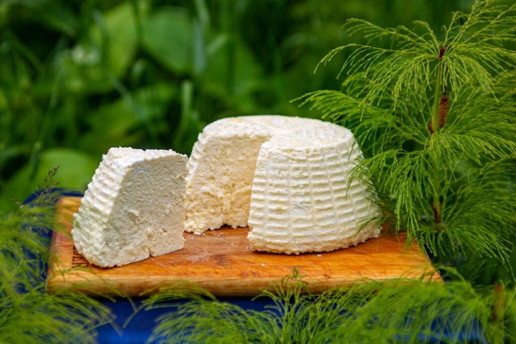 Cottage Cheese Shortages Linked to TikTok Trends and High-Protein Diets