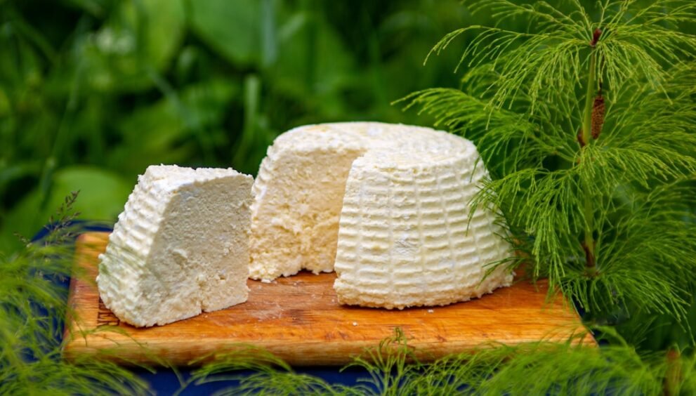Barilla Canada Releases Four Cheese Lasagna Recipe