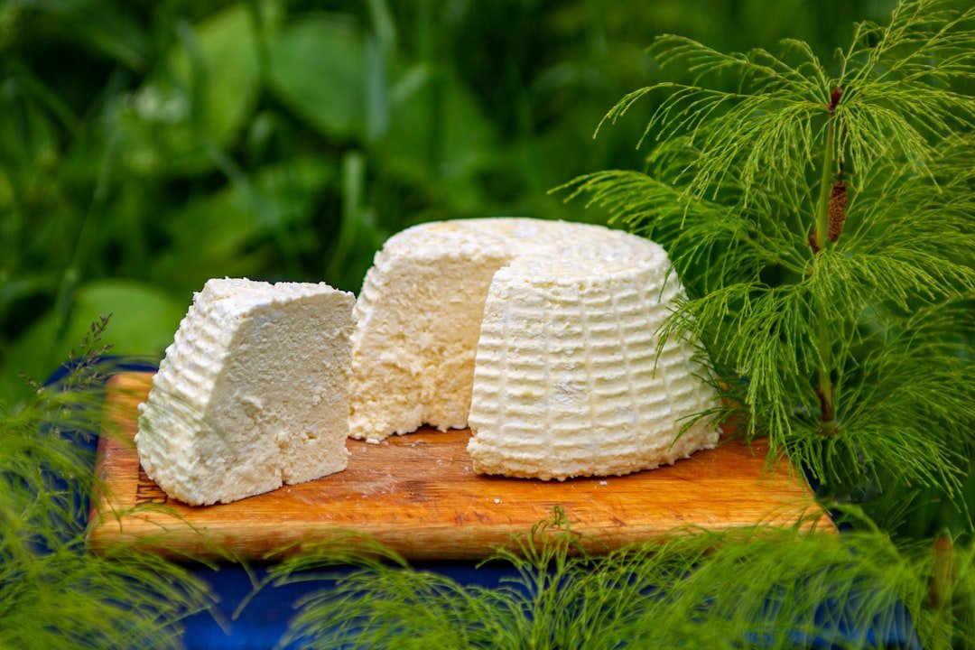 Barilla Canada Releases Four Cheese Lasagna Recipe