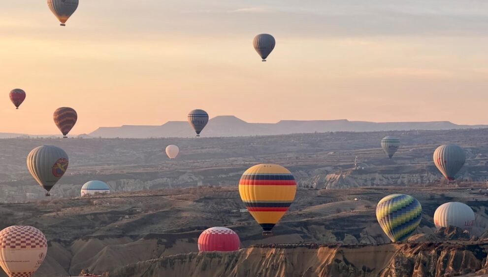 TARC Launches Redesigned Website for Advisors