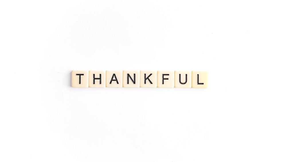 Voters Split on Candidate's 'Cancel Thanksgiving' Remarks