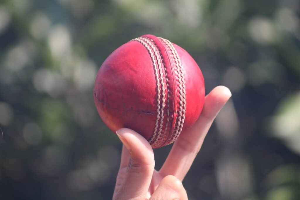 Extraordinary Acts Highlight the Soft Collapse of the Aussie Cricket Team