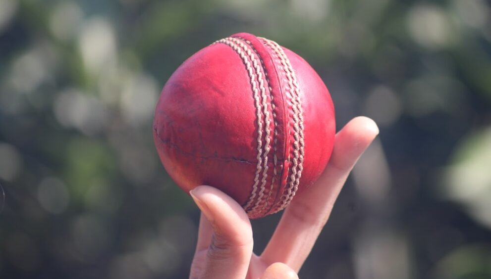 Extraordinary Acts Highlight the Soft Collapse of the Aussie Cricket Team
