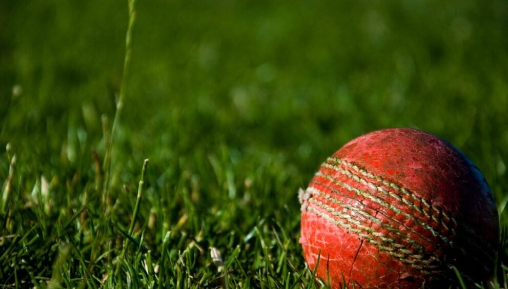 Ellis Determined to Secure World Cup Berth for Australia