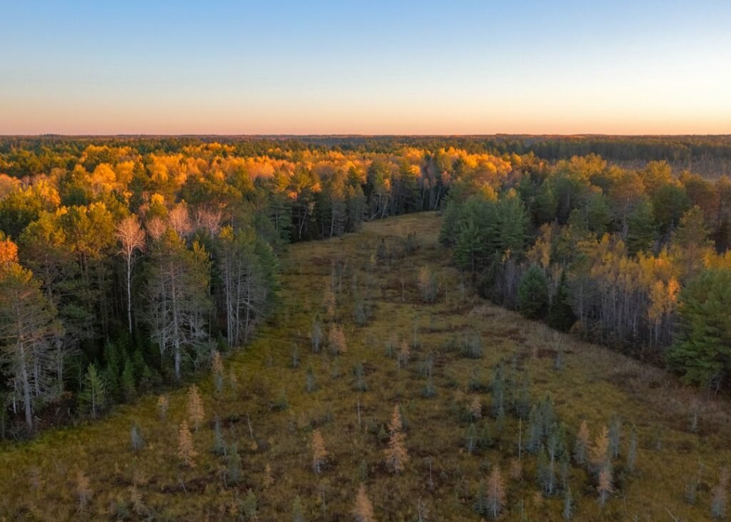 Northwoods Performing Arts Announces Thrilling October Murder Mystery